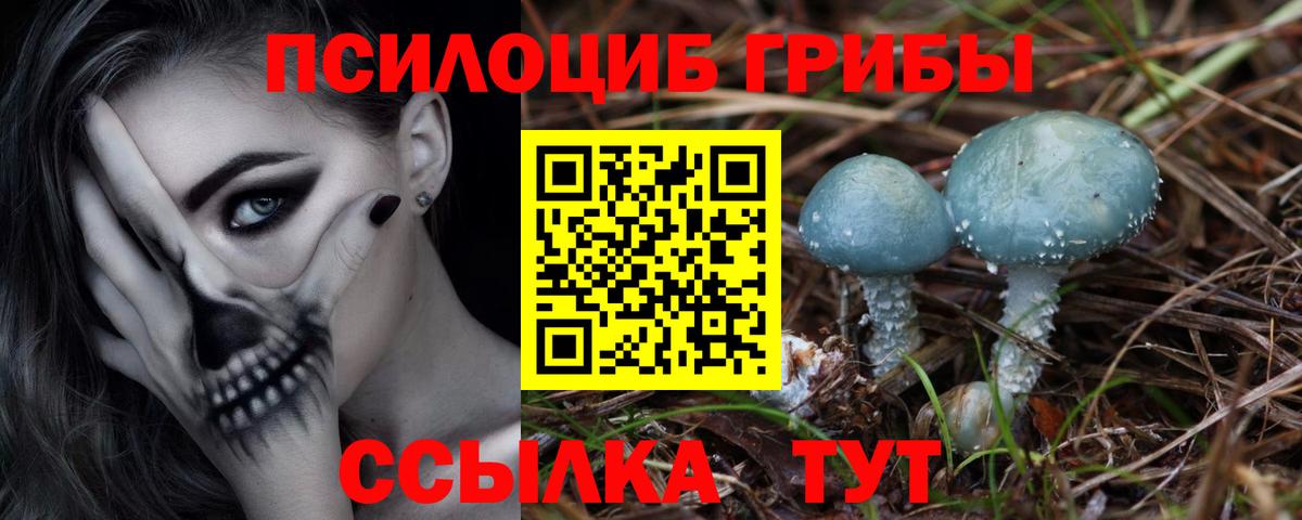 Псилоцибиновые грибы Psilocybe  Галлюциногенные грибы Cubensis  Мариинск  Вход с VPN 